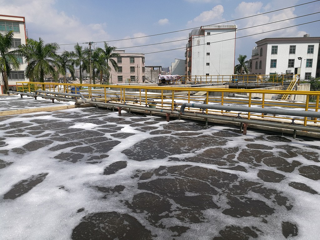 屠宰場廢水微生物91抖音下载入口