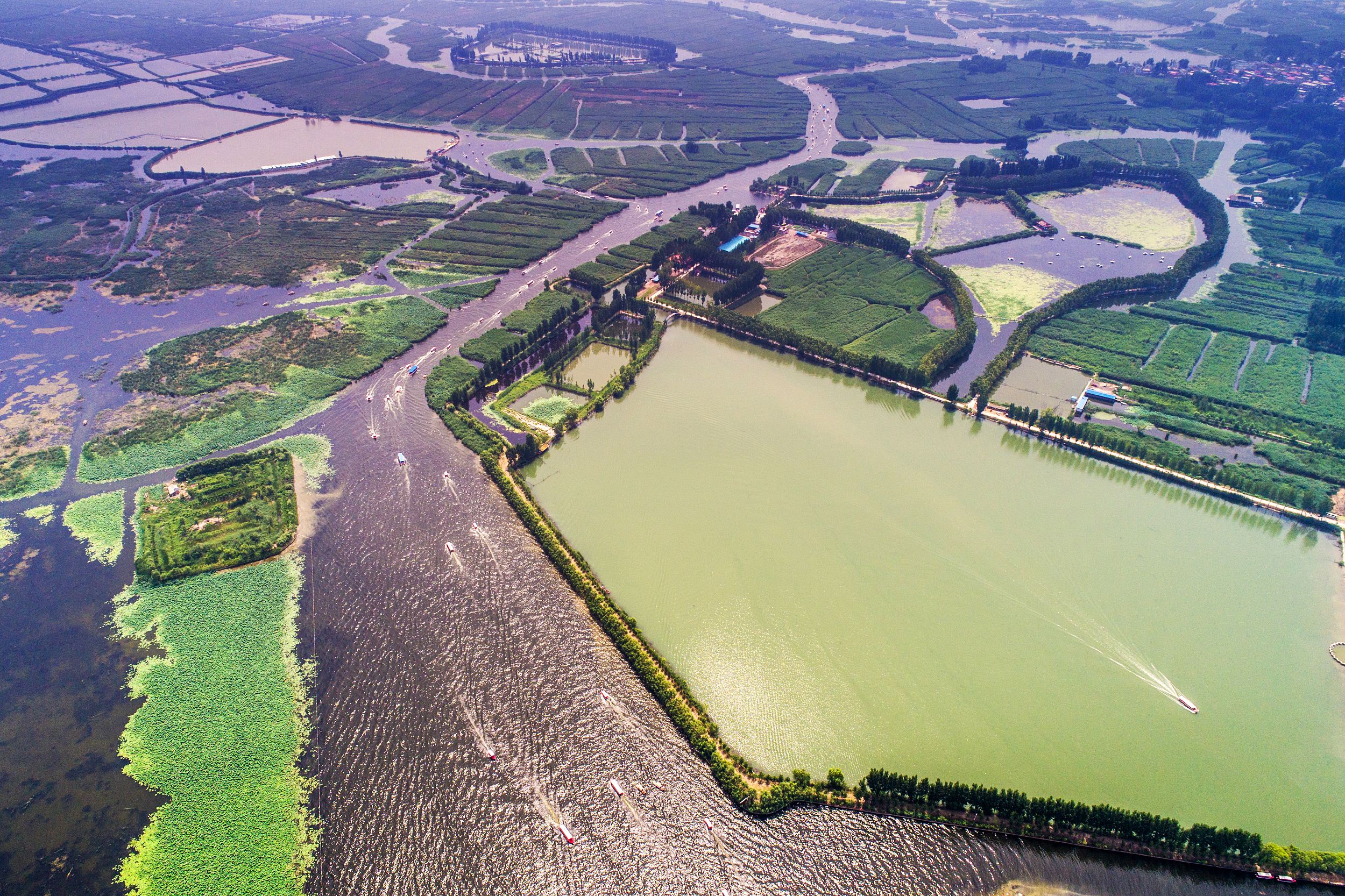 地表水91抖音下载入口